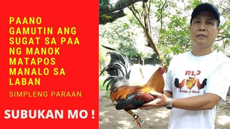 PAANO GAMUTIN ANG SUGAT SA PAA NG MANOK .